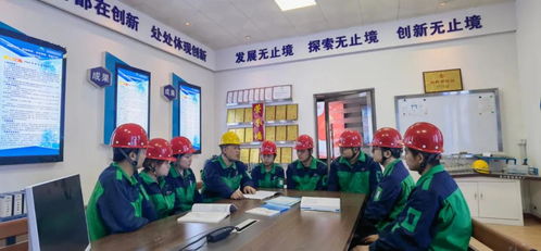 以赛促创，破局升级——金川镍钴选矿厂的创新突围之路